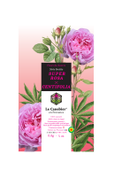 Fleurs certifiées BIO origine Haute-Provence - Super Rosa x centifolia1